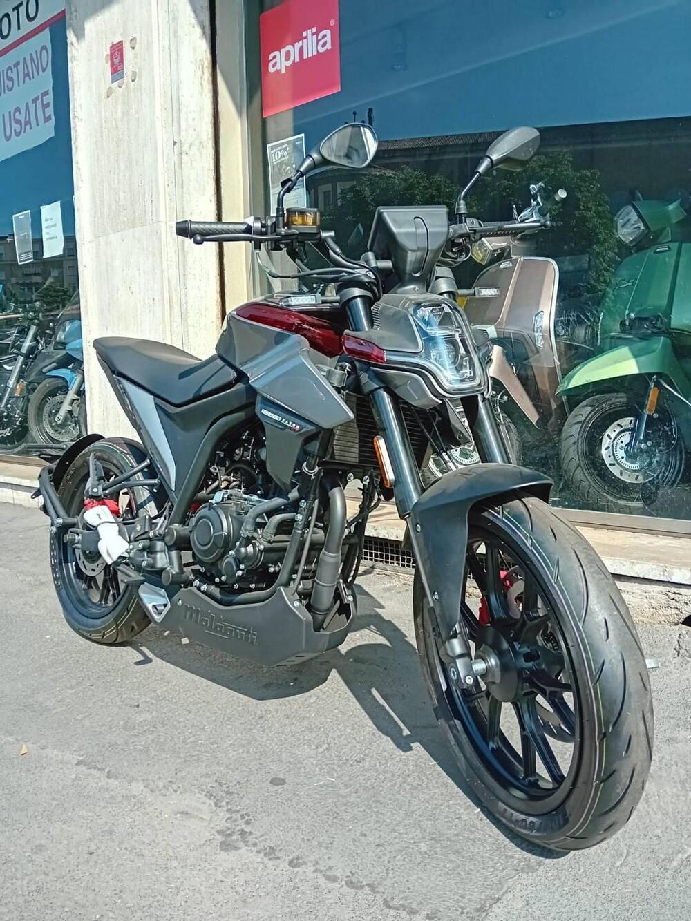 Malaguti Drakon 125 (2022 - 25) (3)