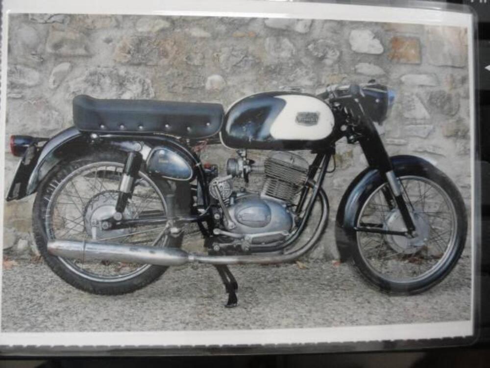 Bianchi BERNINA (14)