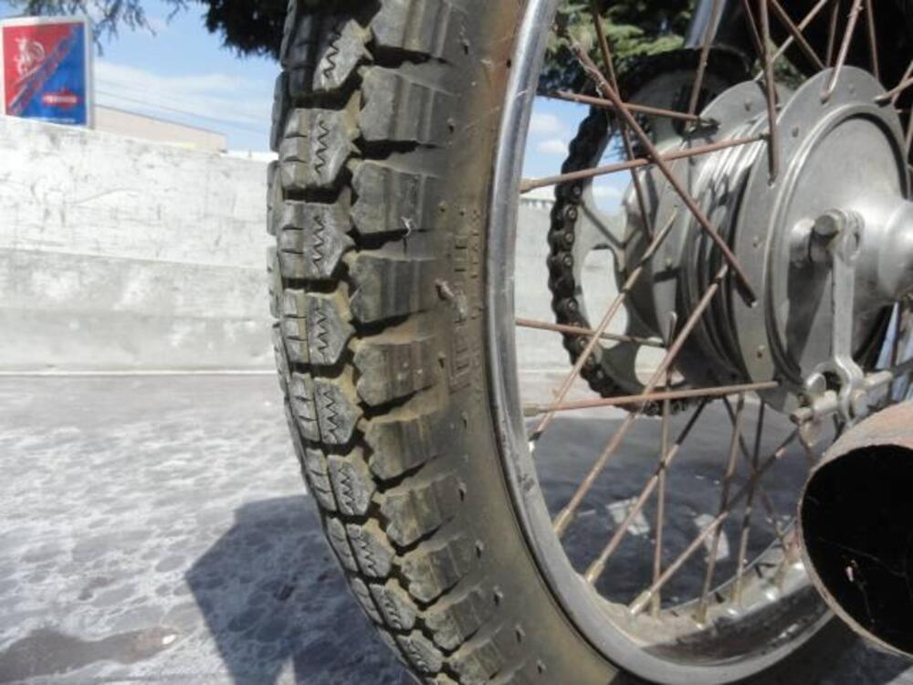 Bianchi BERNINA (10)