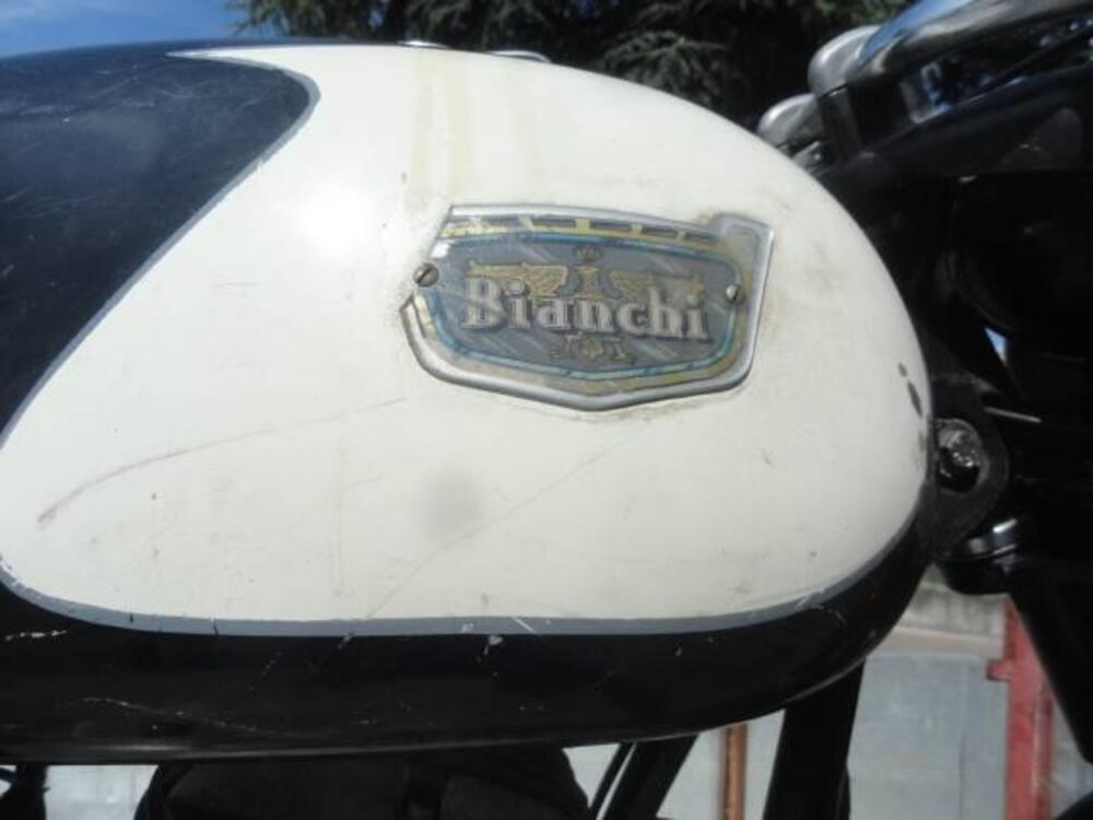 Bianchi BERNINA (11)