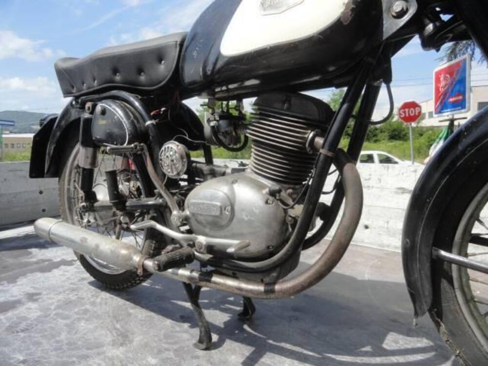 Bianchi BERNINA (13)