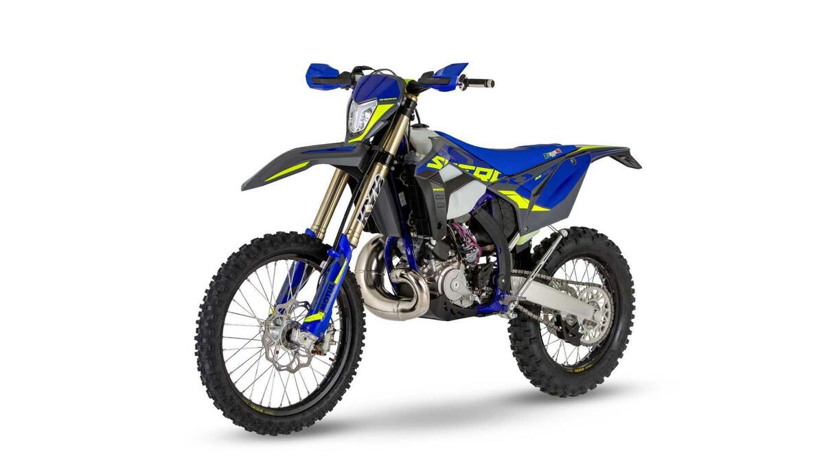 Sherco 300 SE Factory (2024)