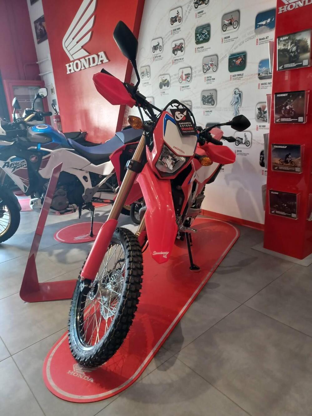 Honda CRF 300 L (2025) (2)