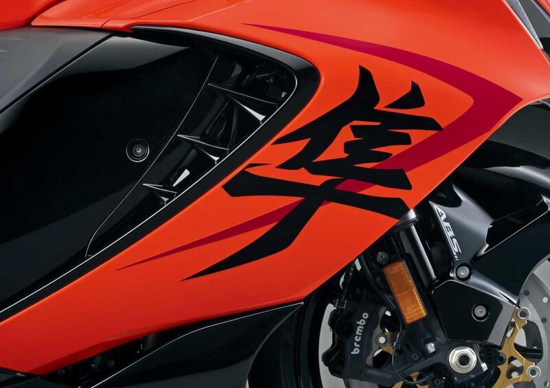 Suzuki GSX 1300 R Hayabusa GSX 1300 R Hayabusa 25 Anniversary (2023 - 24) (8)