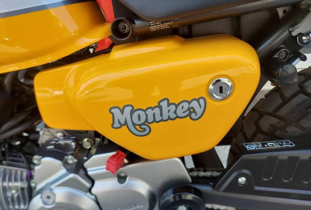 Honda Monkey 125 (2022 - 24) (4)