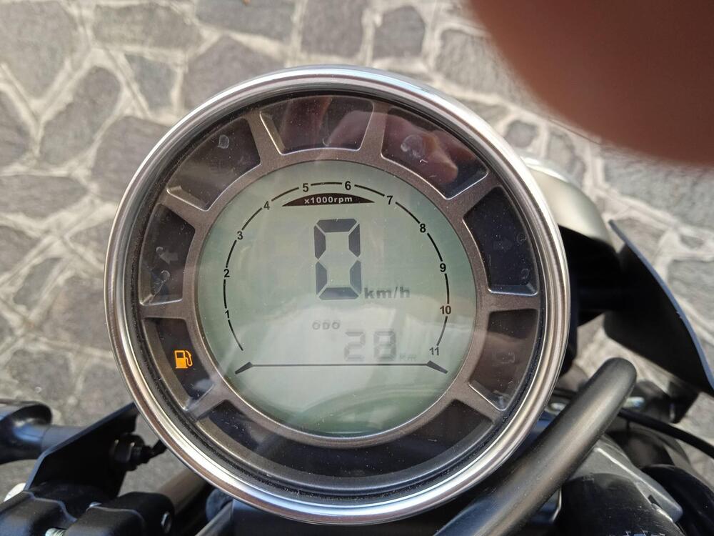 Swm Ace of Spades 500 (2018 - 20) (3)