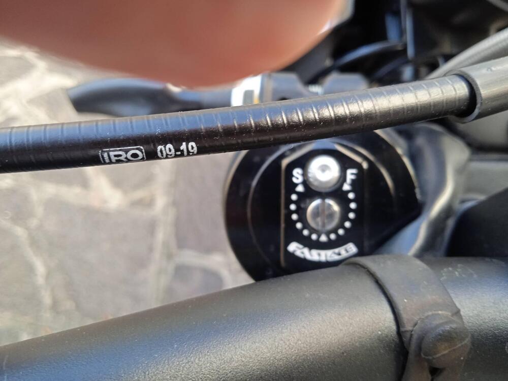 Swm Ace of Spades 500 (2018 - 20) (4)