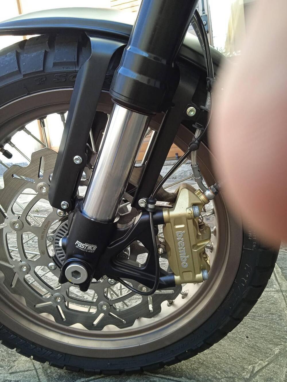 Swm Ace of Spades 500 (2018 - 20) (5)