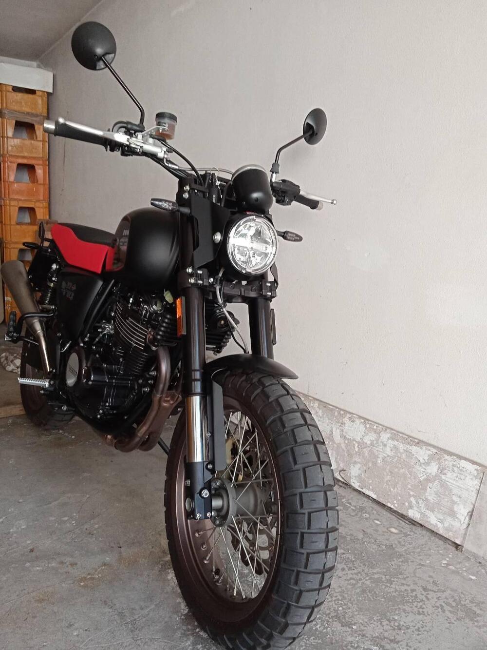 Swm Ace of Spades 500 (2018 - 20) (8)