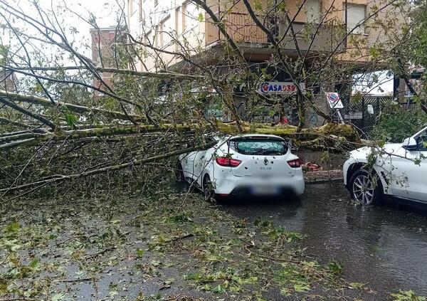 Grandine e alberi caduti sulle auto, morti e feriti: il maltempo devasta il Nord Italia