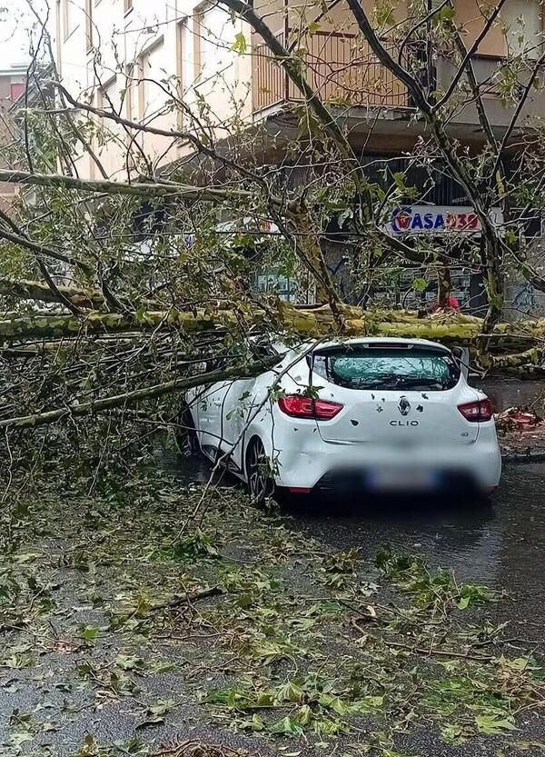 Grandine e alberi caduti sulle auto, morti e feriti: il maltempo devasta il Nord Italia