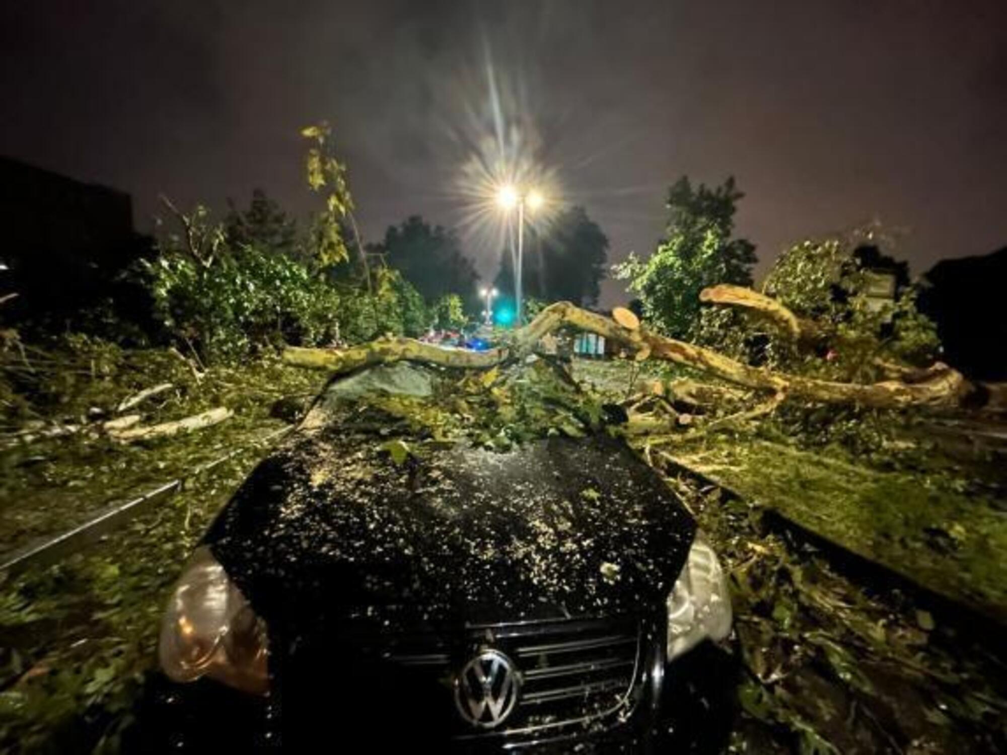 L&#039;auto con famiglia a bordo su cui si &egrave; abbattuto un albero a Monza
