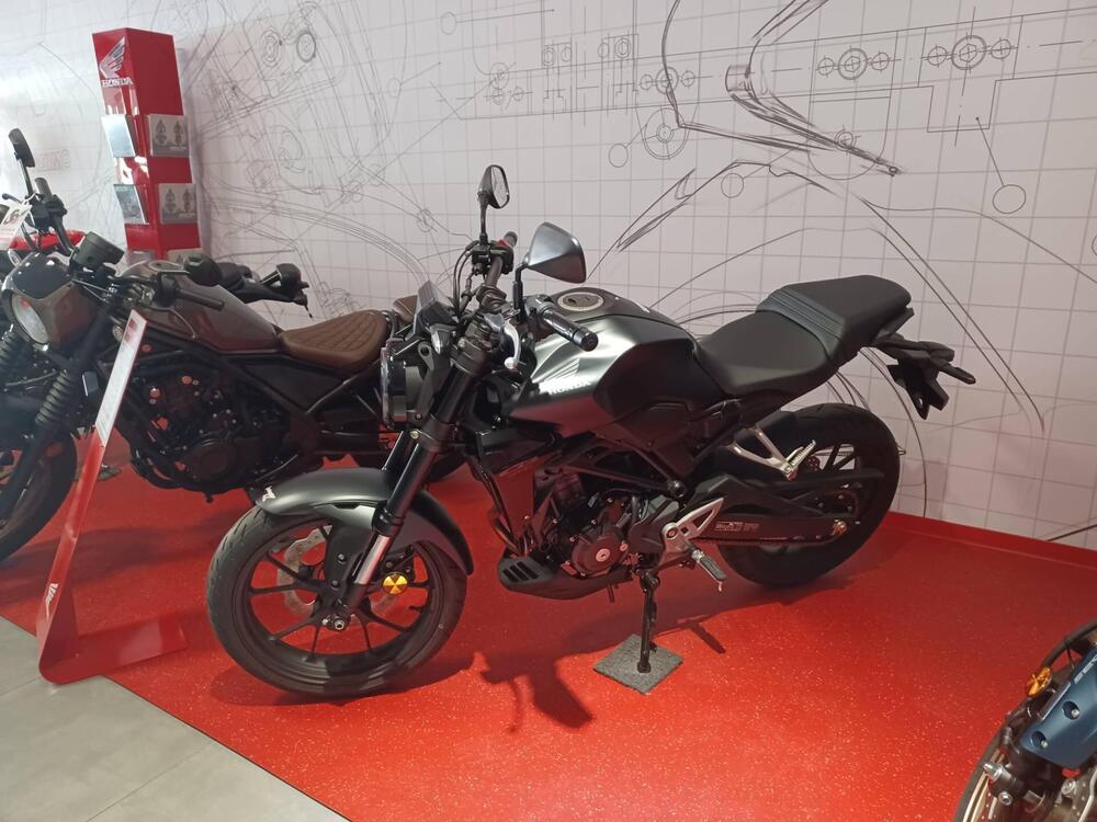 Honda CB 300 R (2022 - 25)