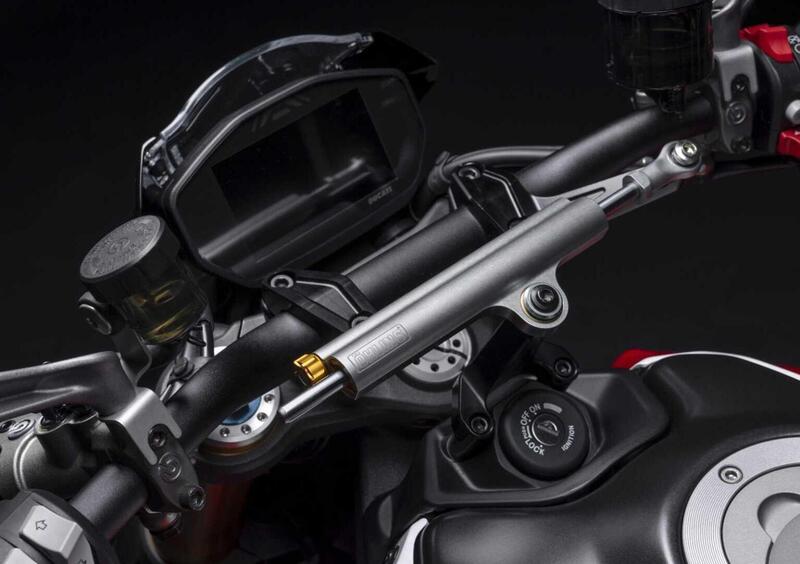 Ducati Monster 937 Monster 937 30° Anniversario (2023 - 24) (13)