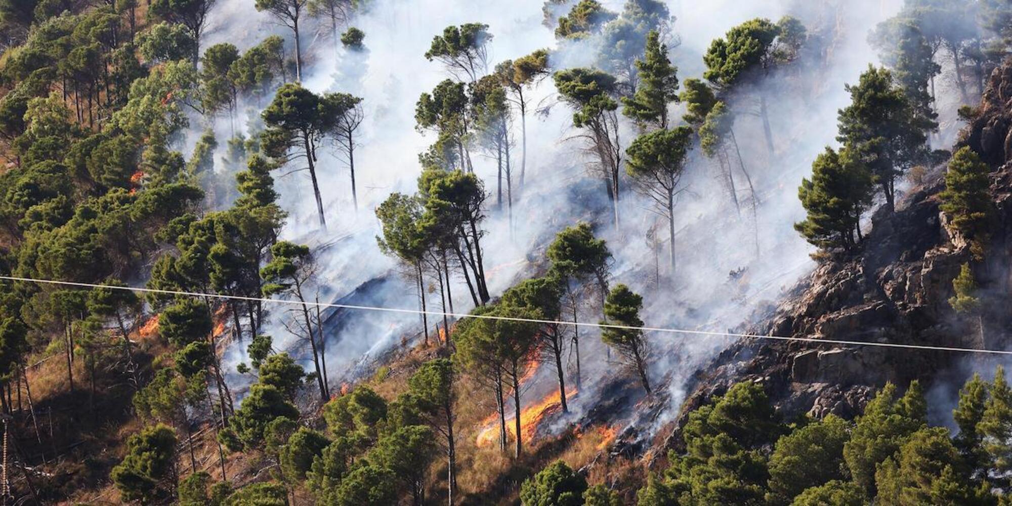 Le immagini degli incendi in Sicilia