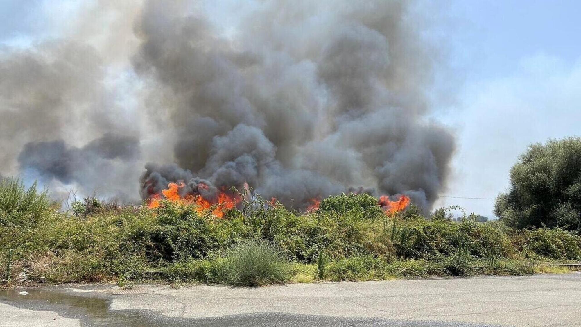 Le immagini degli incendi in Sicilia