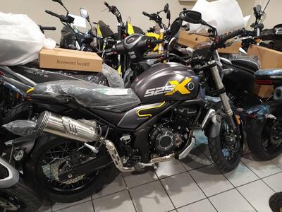 Voge Trofeo 525ACX Scrambler (2023 - 25) nuova