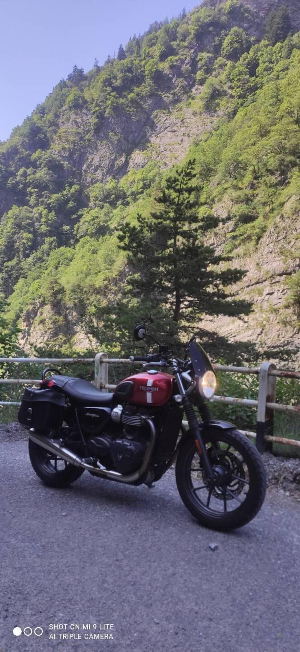 Triumph Street Twin 900 (2017 - 18) (9)