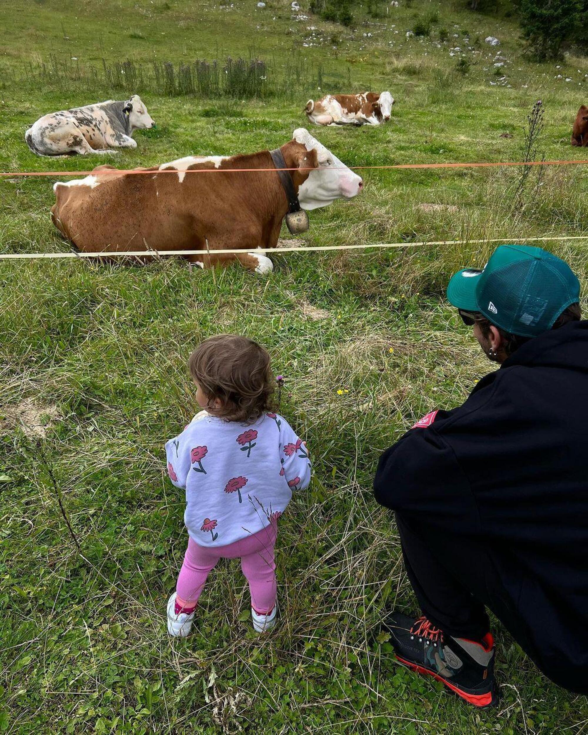 Valentino Rossi guarda le mucche con Giulietta