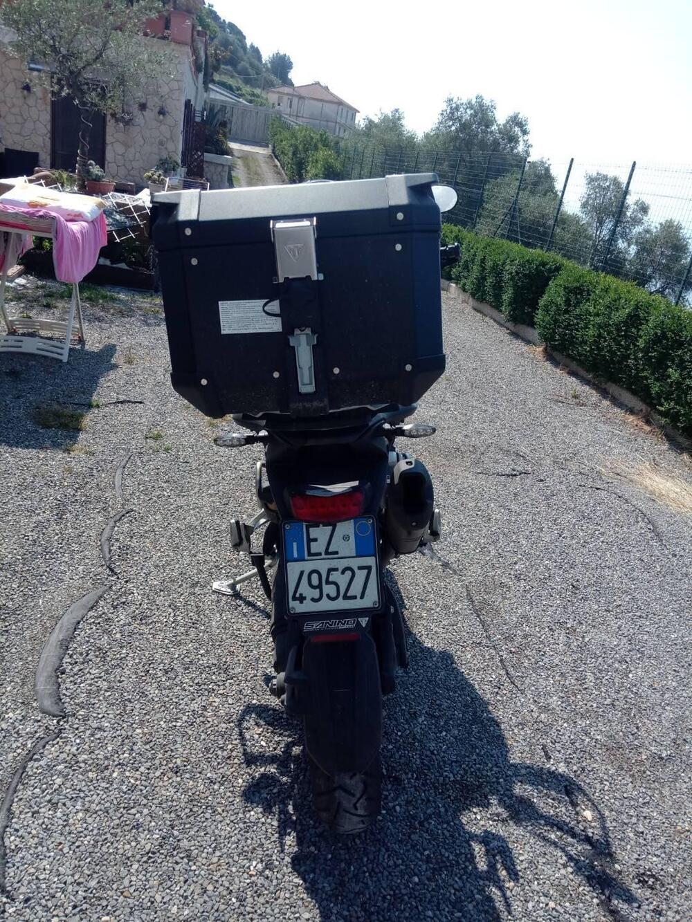 Triumph Tiger 1200 Rally Pro (2022 - 23) (3)