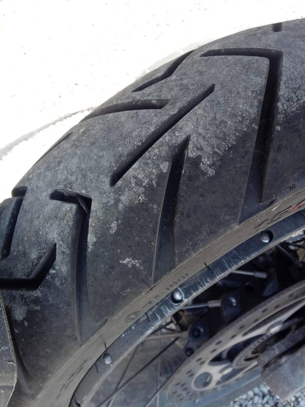 Triumph Tiger 1200 Rally Pro (2022 - 23) (4)