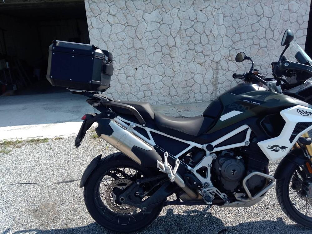 Triumph Tiger 1200 Rally Pro (2022 - 23) (5)