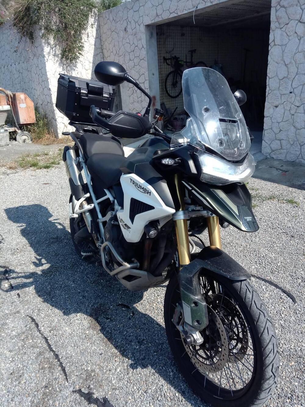 Triumph Tiger 1200 Rally Pro (2022 - 23) (6)