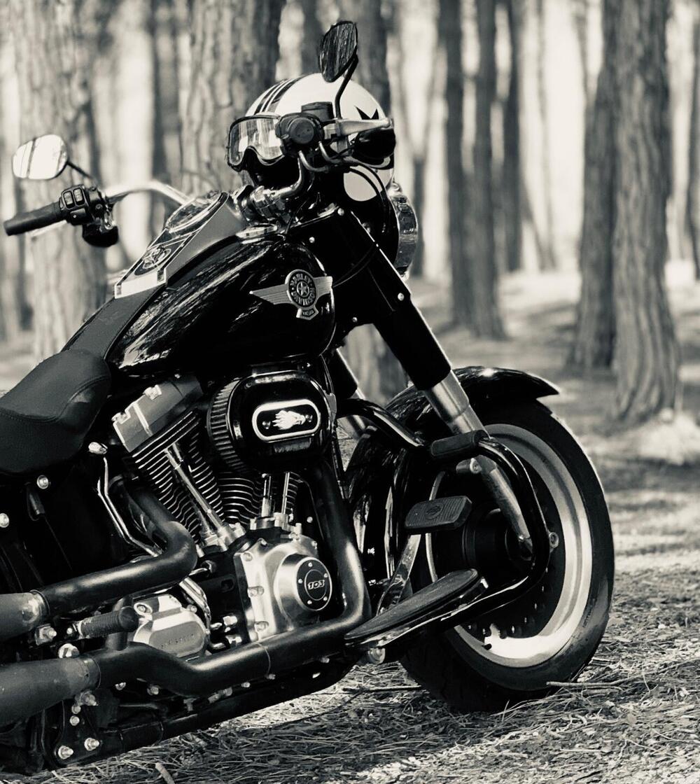 Harley-Davidson 1690 Fat Boy Special (2010 - 17) - FLSTF (2)