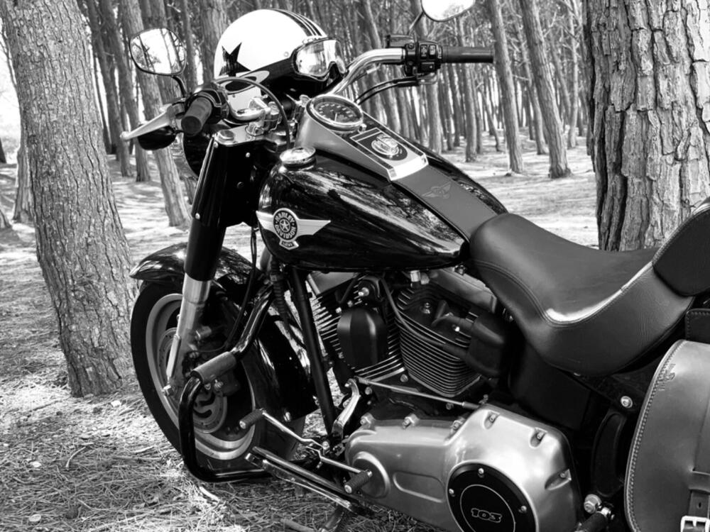 Harley-Davidson 1690 Fat Boy Special (2010 - 17) - FLSTF (4)