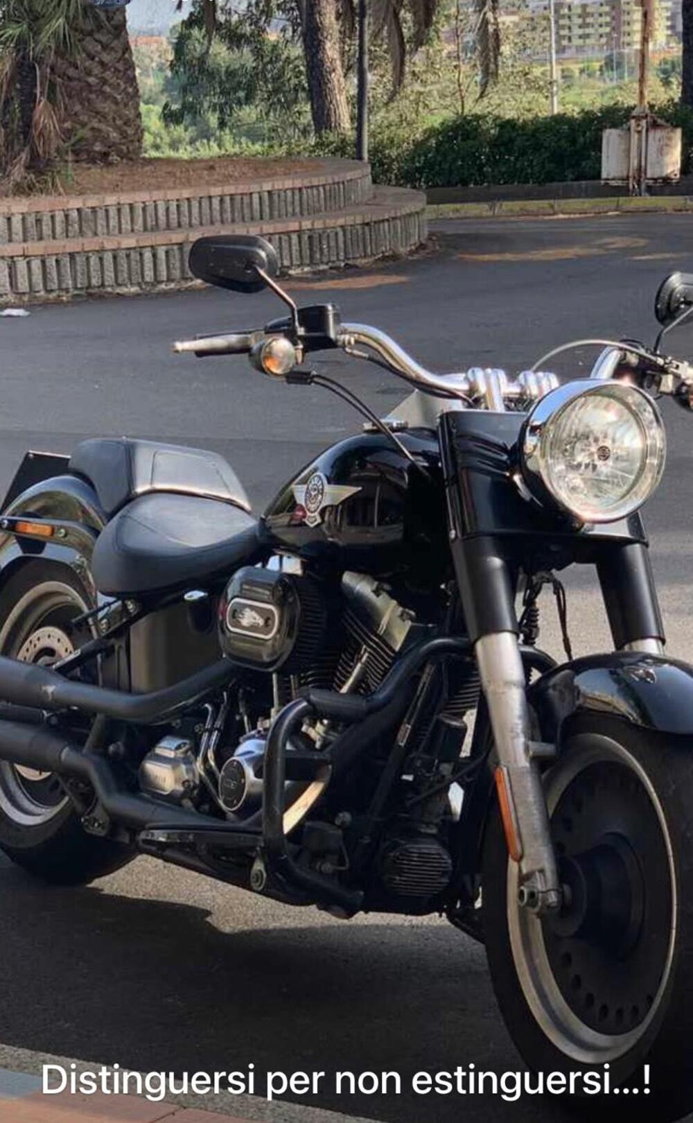 Harley-Davidson 1690 Fat Boy Special (2010 - 17) - FLSTF (5)