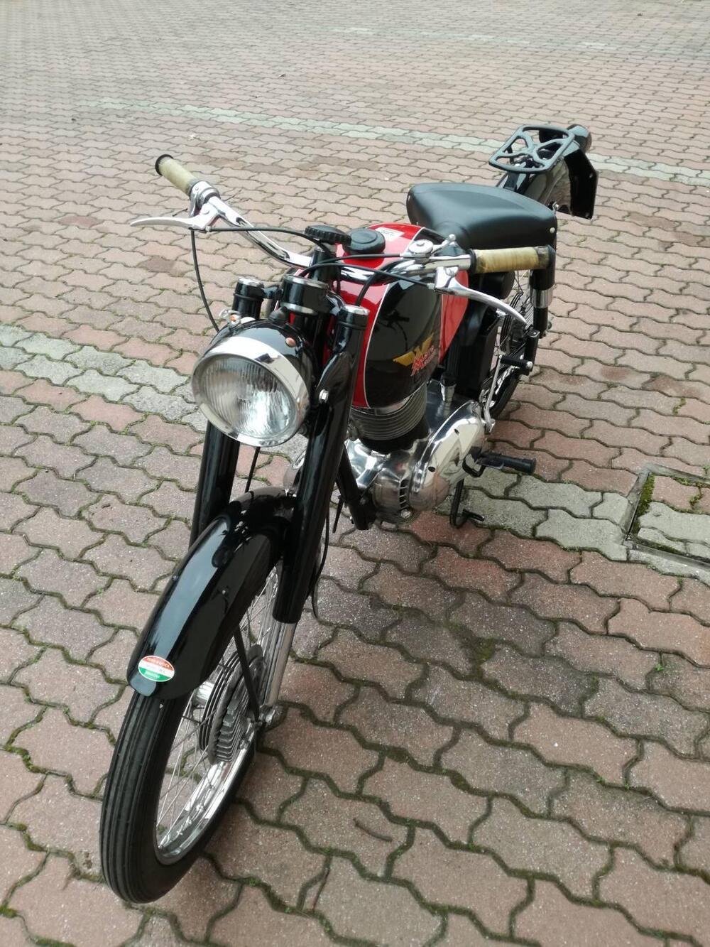 Moto Morini 175 TURISMO PRIMA SERIE (7)