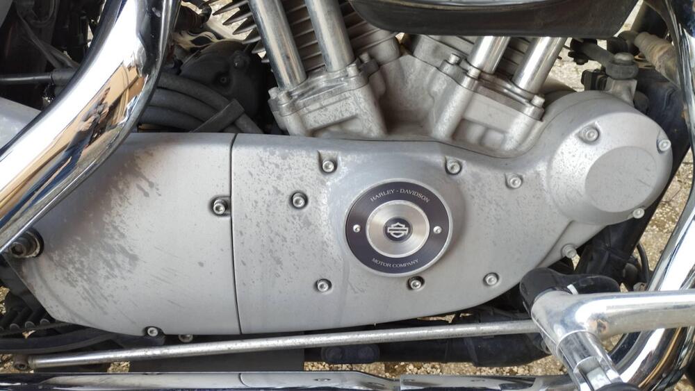 Harley-Davidson 883 Custom (2008 - 12) - XL 883C (6)