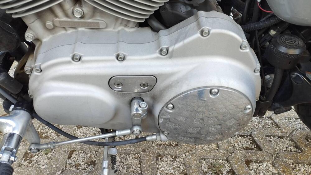 Harley-Davidson 883 Custom (2008 - 12) - XL 883C (5)