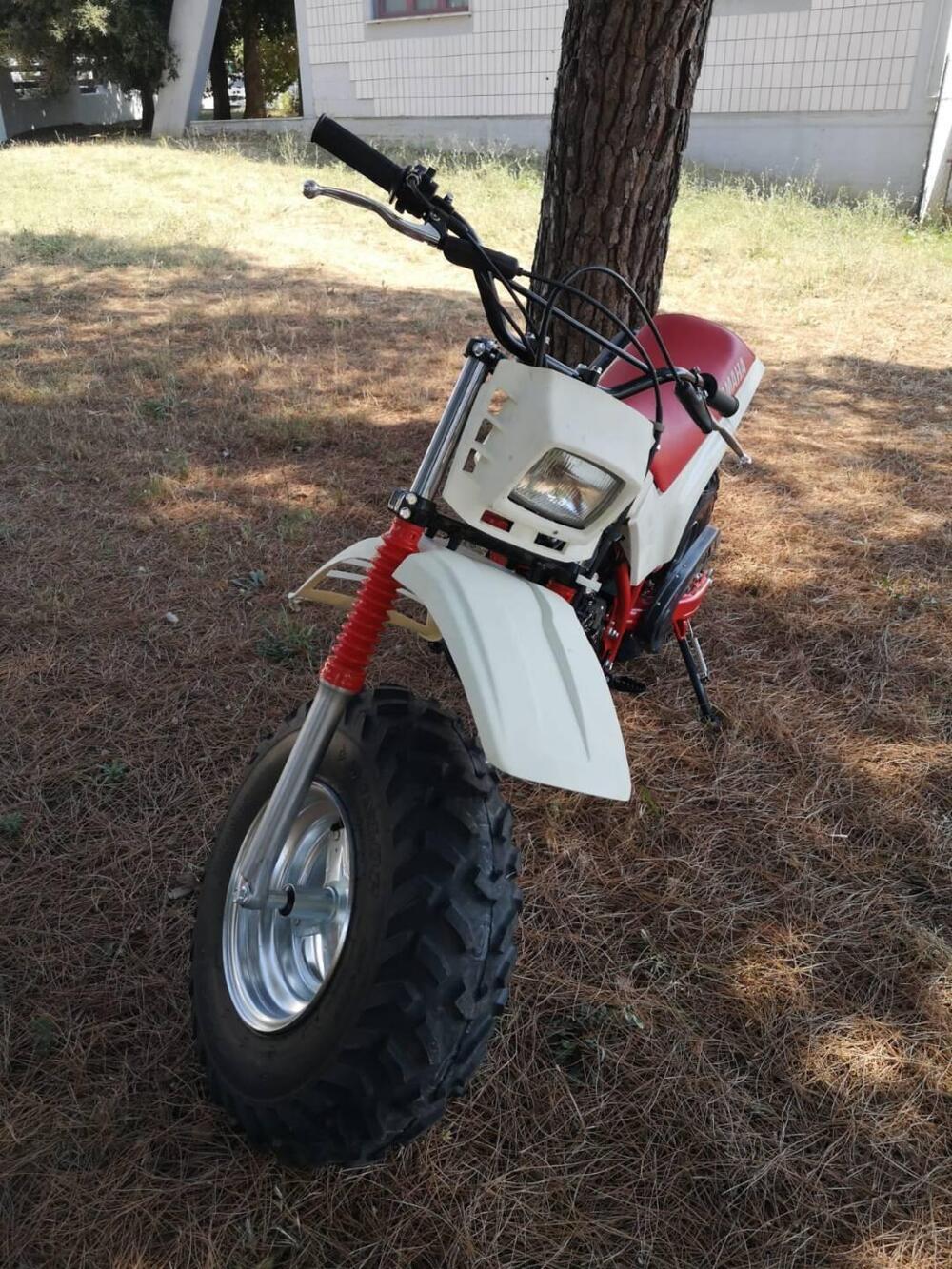 Yamaha BW 200 BIG WHEEL (4)