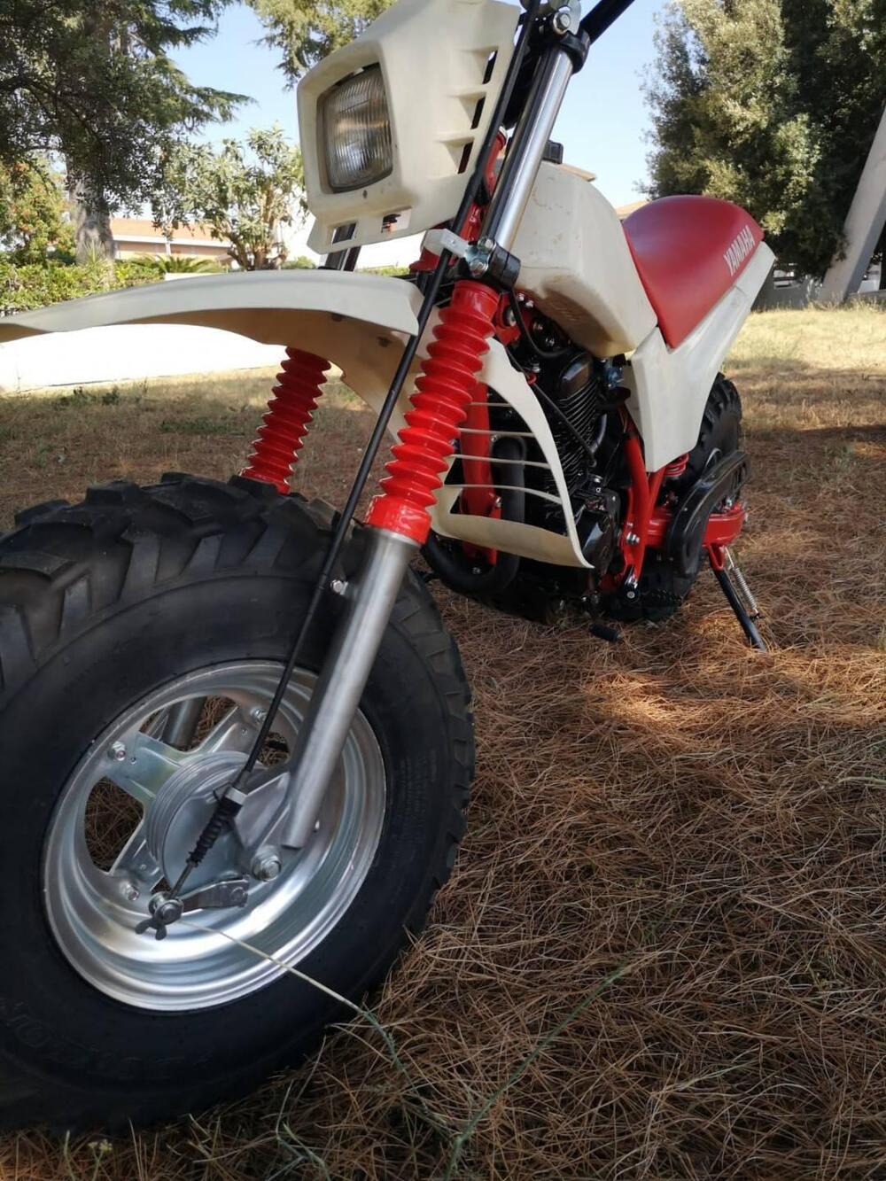 Yamaha BW 200 BIG WHEEL (6)