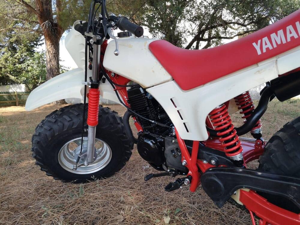 Yamaha BW 200 BIG WHEEL (14)