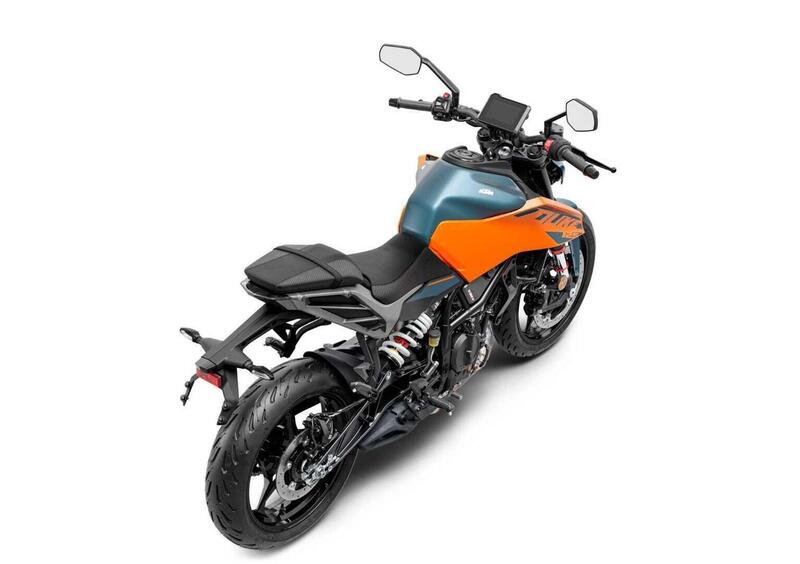 KTM 125 Duke 125 Duke (2024 - 25) (3)