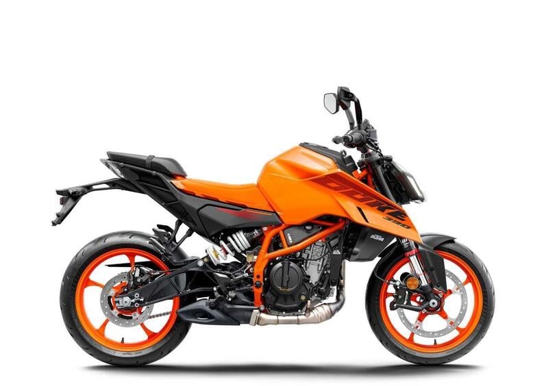 KTM 390 Duke  390 Duke (2024 - 25) (2)