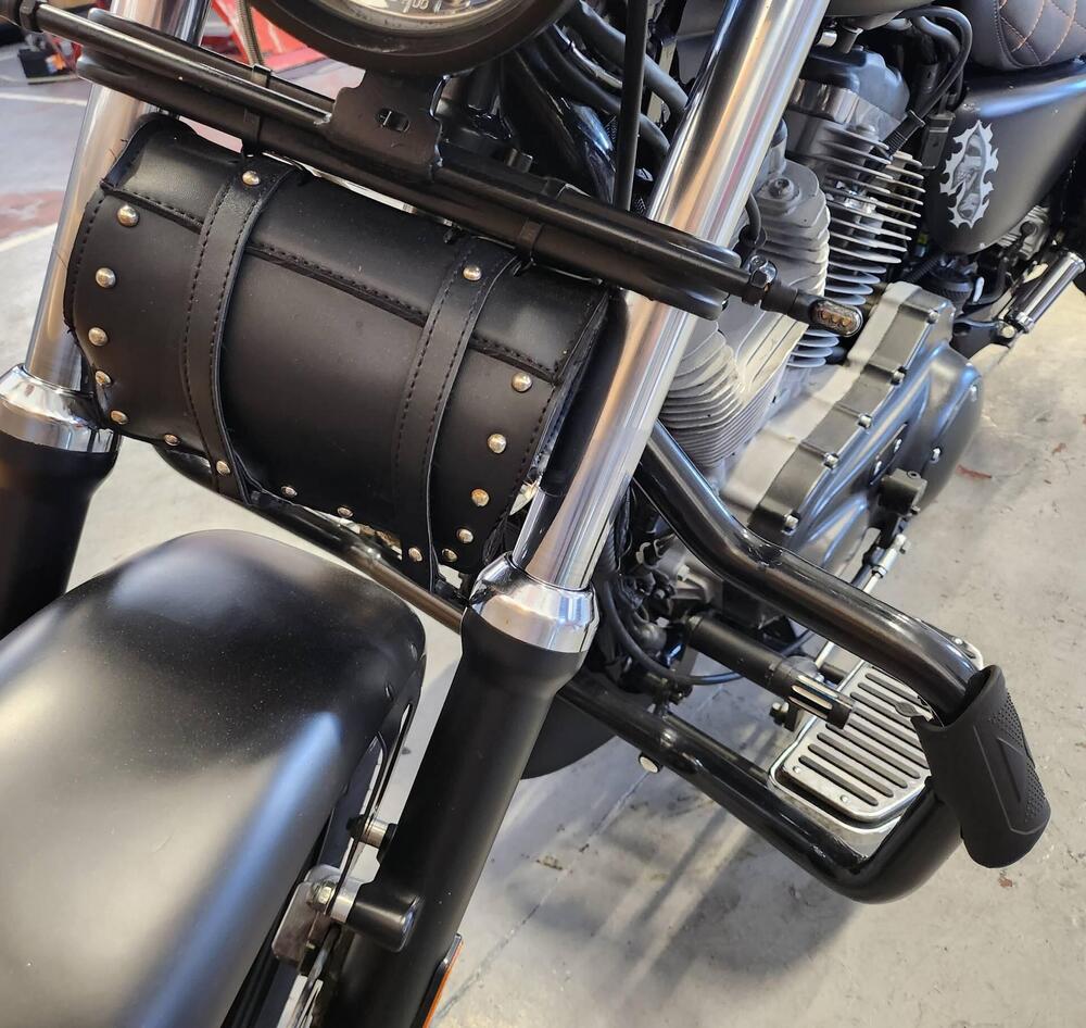 Harley-Davidson 883 (2006 - 07) - XL (8)