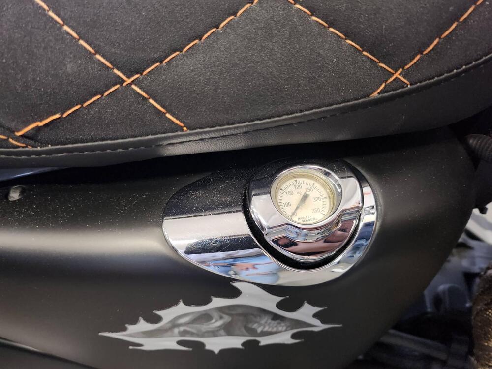 Harley-Davidson 883 (2006 - 07) - XL (11)