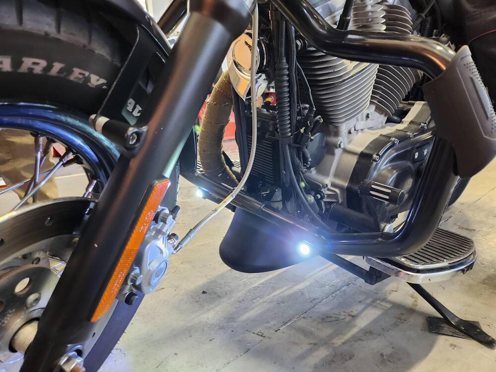 Harley-Davidson 883 (2006 - 07) - XL (14)