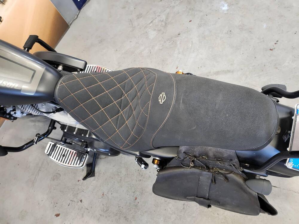 Harley-Davidson 883 (2006 - 07) - XL (15)