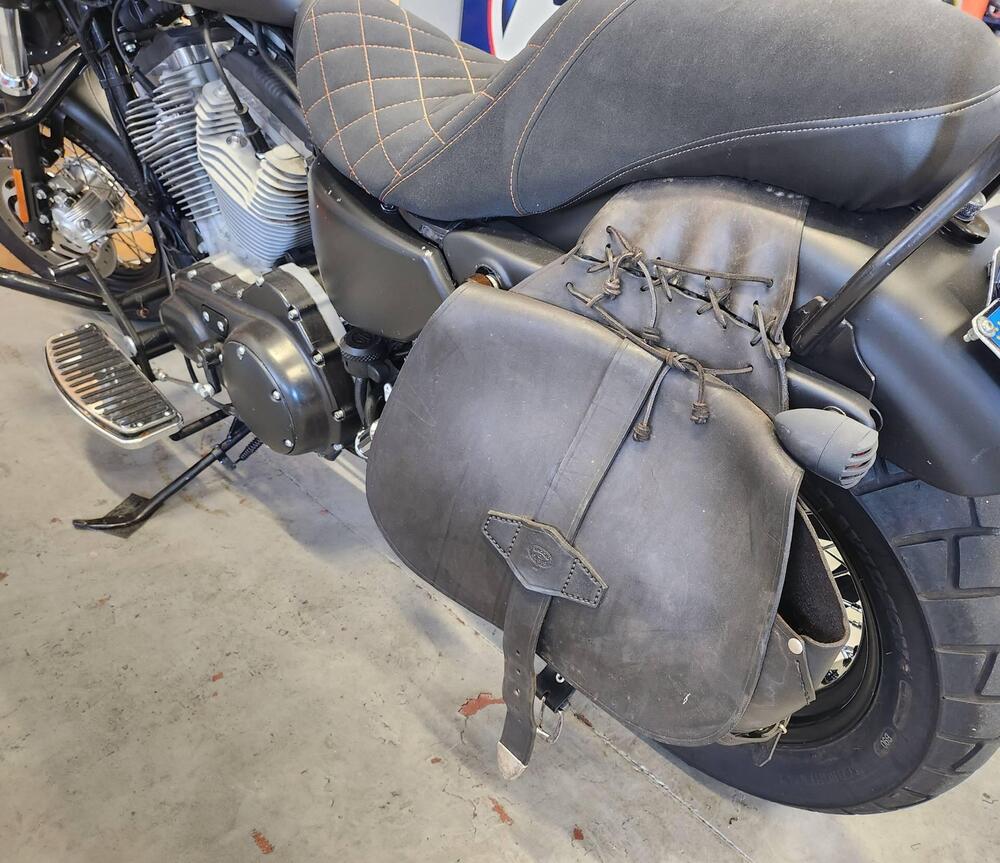 Harley-Davidson 883 (2006 - 07) - XL (16)