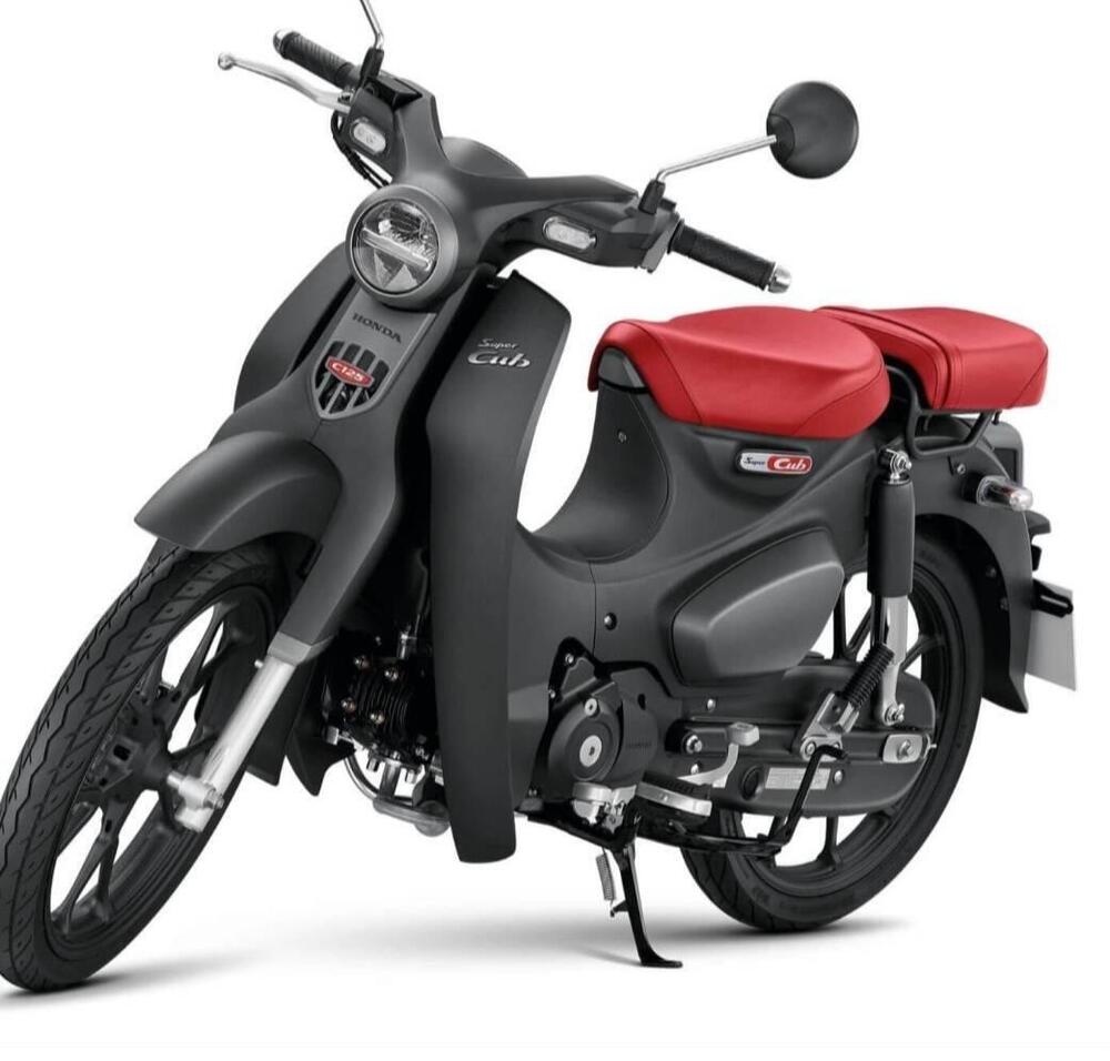 Honda Super Cub C125 (2022 - 24) (4)