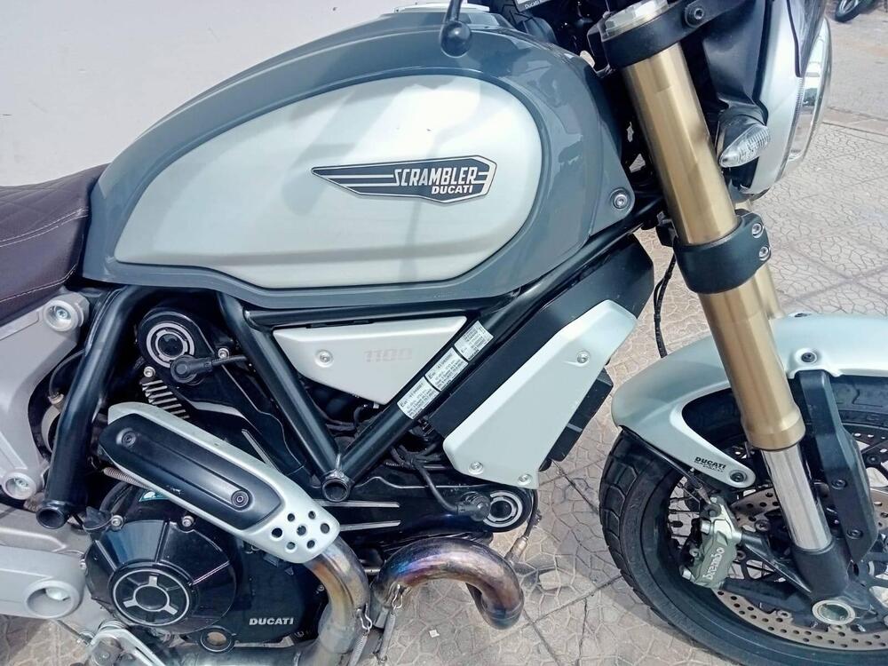 Ducati Scrambler 1100 Special (2018 - 20) (5)