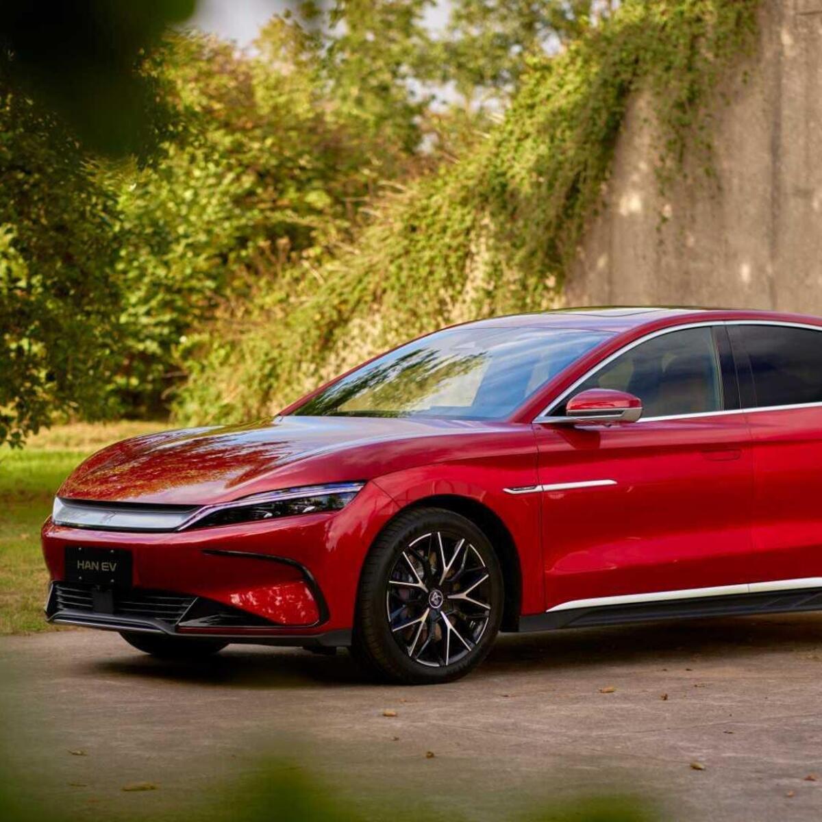 Byd Han (2023-24)