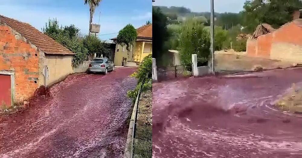 Un incredibile e impetuoso fiume di vino in strada: ecco cos&#039;&egrave; successo e perch&eacute; [VIDEO]