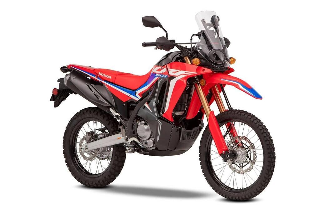 Honda CRF 300 Rally (2021 - 24) (3)