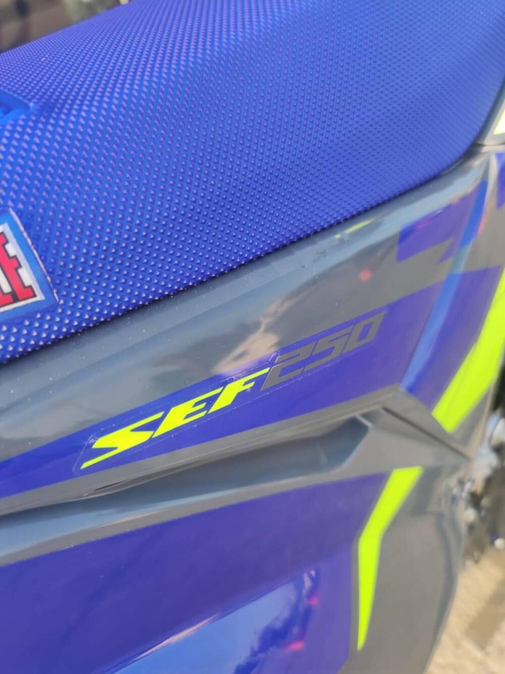 Sherco 250 SEF Factory (2024) (13)