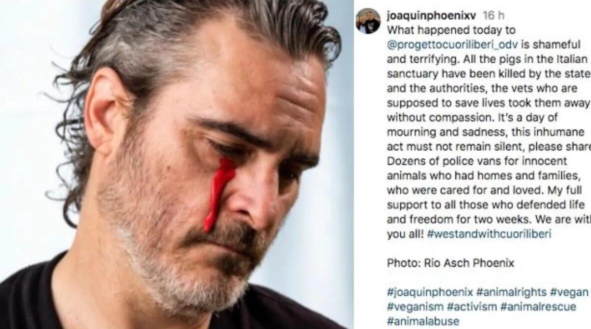 La lacrima versata da Joaquin Phoenix per i maiali